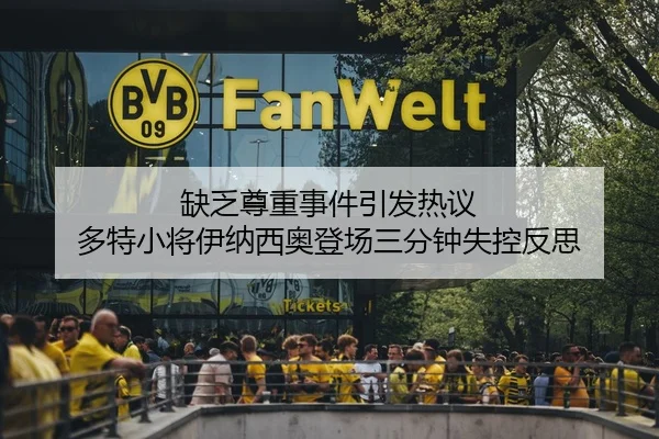 缺乏尊重事件引发热议 多特小将伊纳西奥登场三分钟失控反思